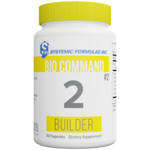 2 - Builder