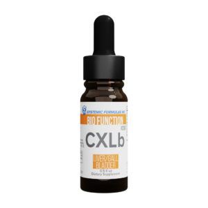 CXLb - Liver/Gall Bladder