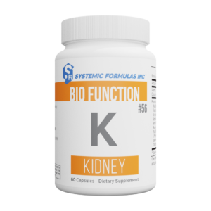 SF00056 - K - Kidney