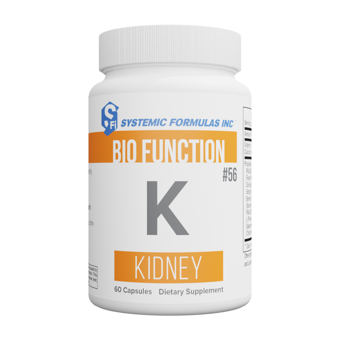 SF00056 - K - Kidney