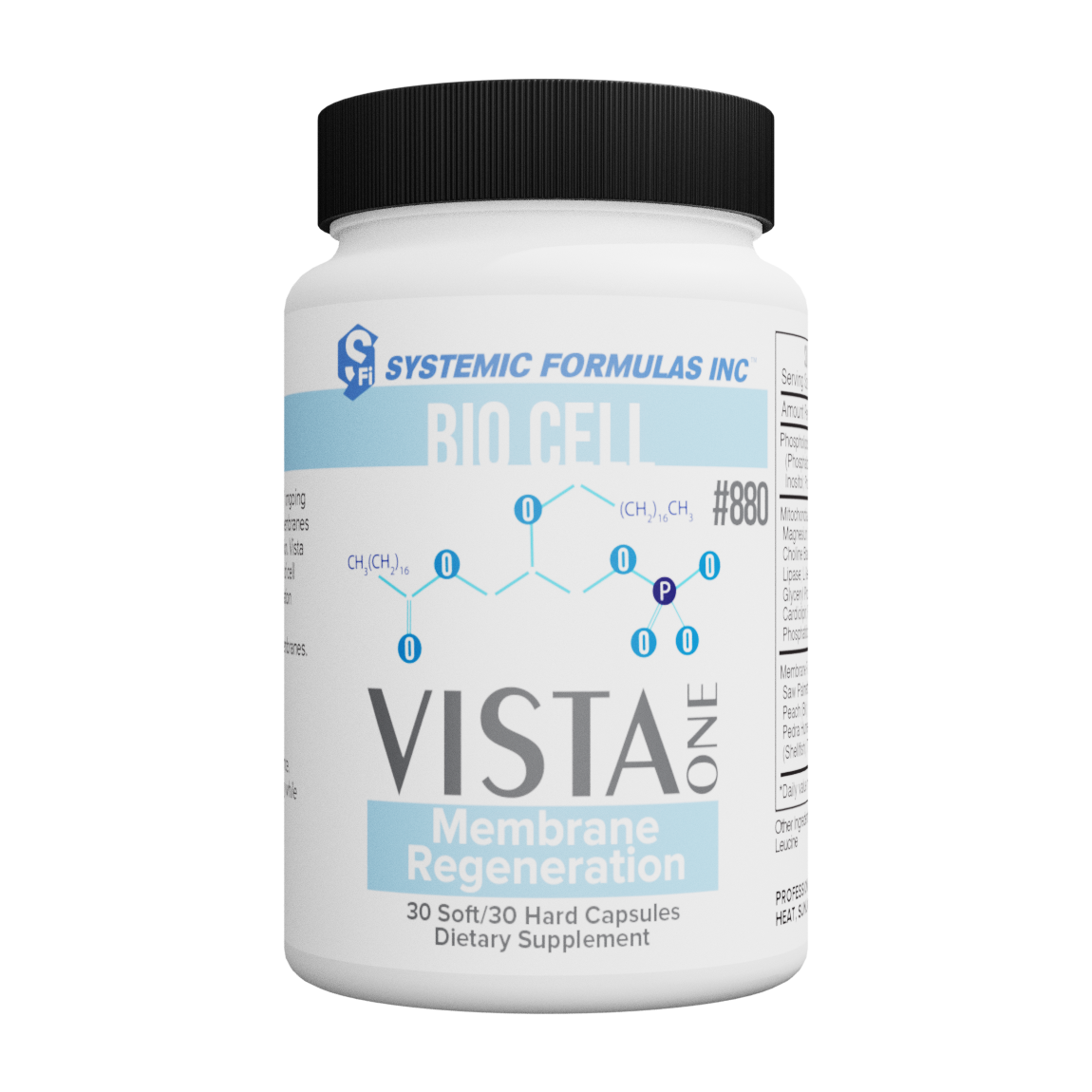 SF00880 - VistaOne - Membrane Regeneration