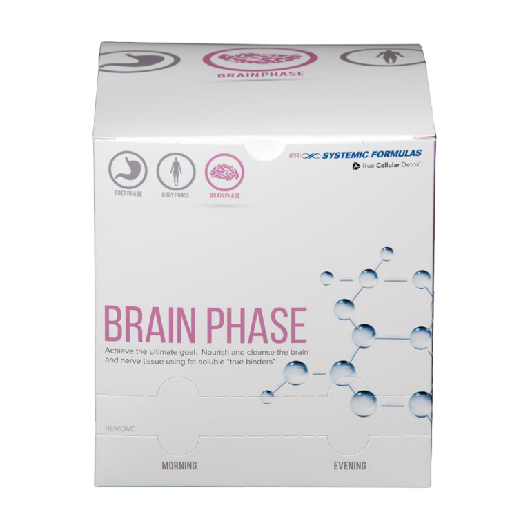 SF00941 - Brain Phase