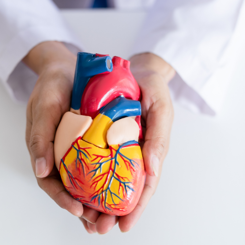 Cardiovascular Diseases - Is It In Your Genes