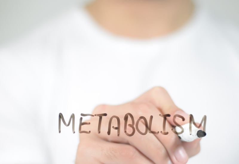 The Link Between GLP1 and Gut Health