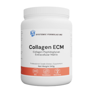 Collagen ECM - Collagen Peptidoglycan Extracellular Matrix