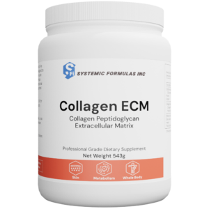 Collagen ECM - Collagen Peptidoglycan Extracellular Matrix