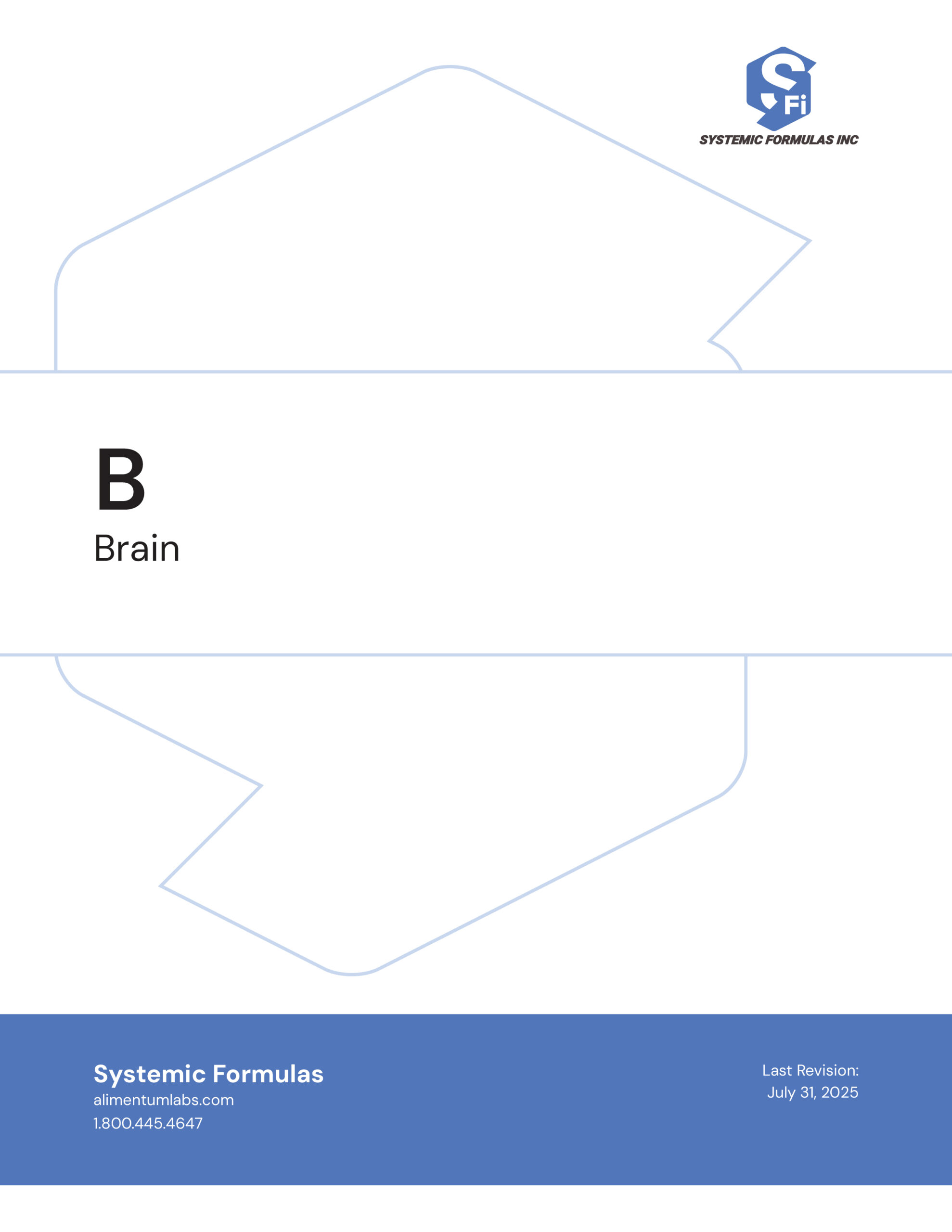 B - Brain