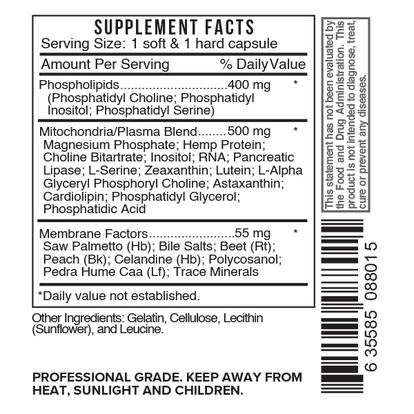 VistaOne - label SFB - B25