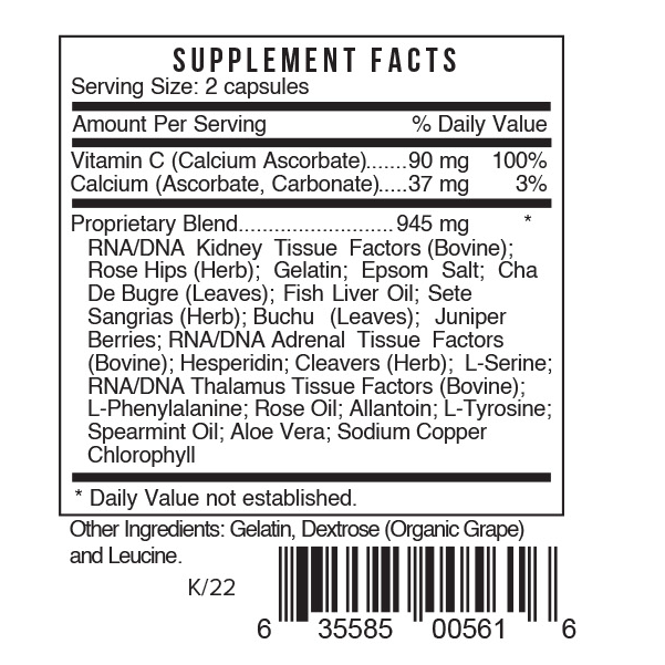 K - Kidney - label SFB - K/22
