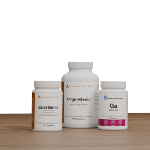 Fatigue Protocol No Bg1