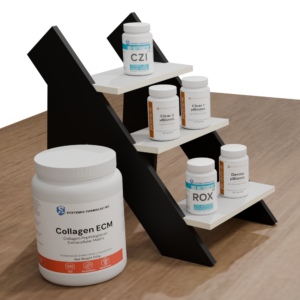 Gingivitis _ Bleeding Gums Protocol No Bg3