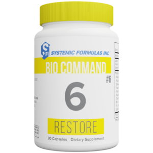 6 - Restore