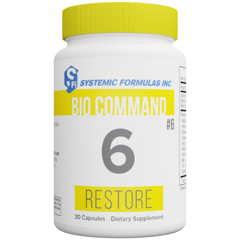 6 - Restore
