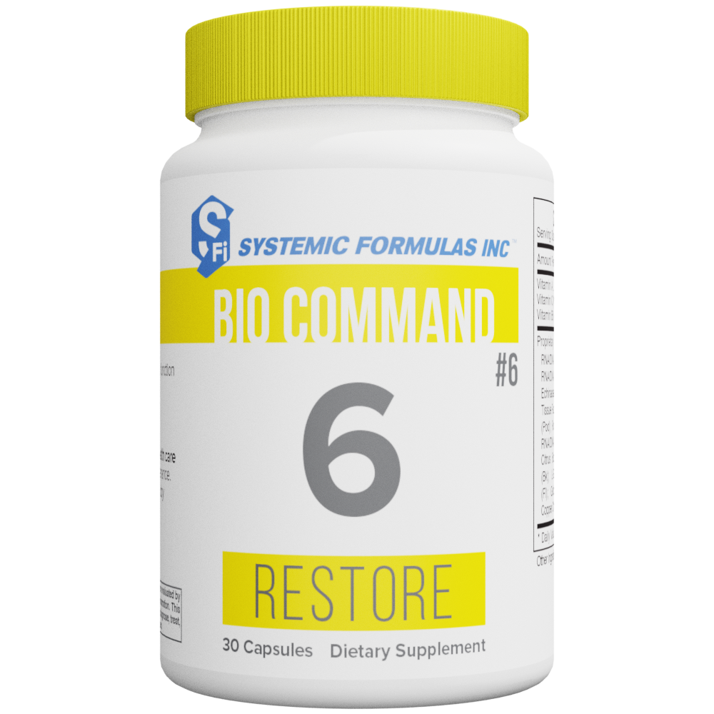 6 - Restore