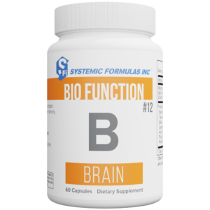 B - Brain