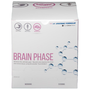 BRAIN PHASE