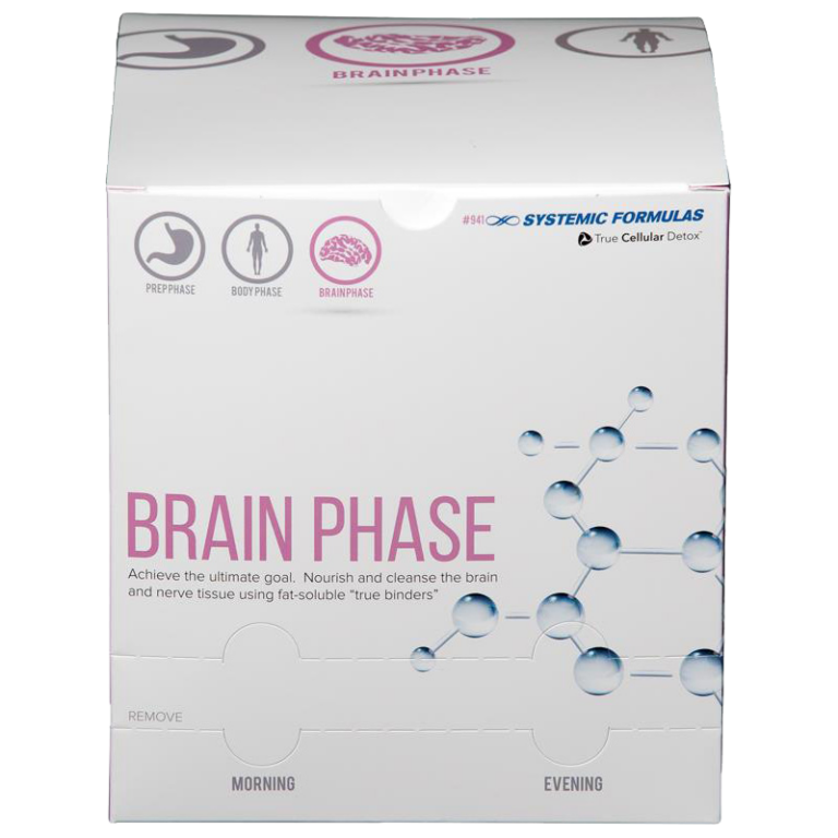 BRAIN PHASE