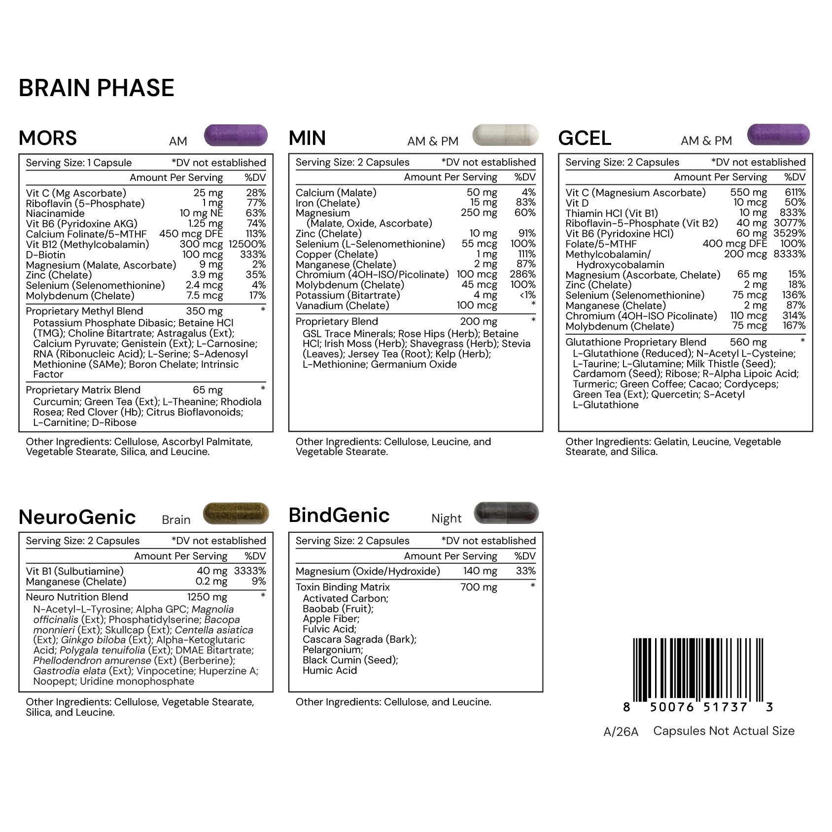 BRAIN PHASE - SFB - A26A