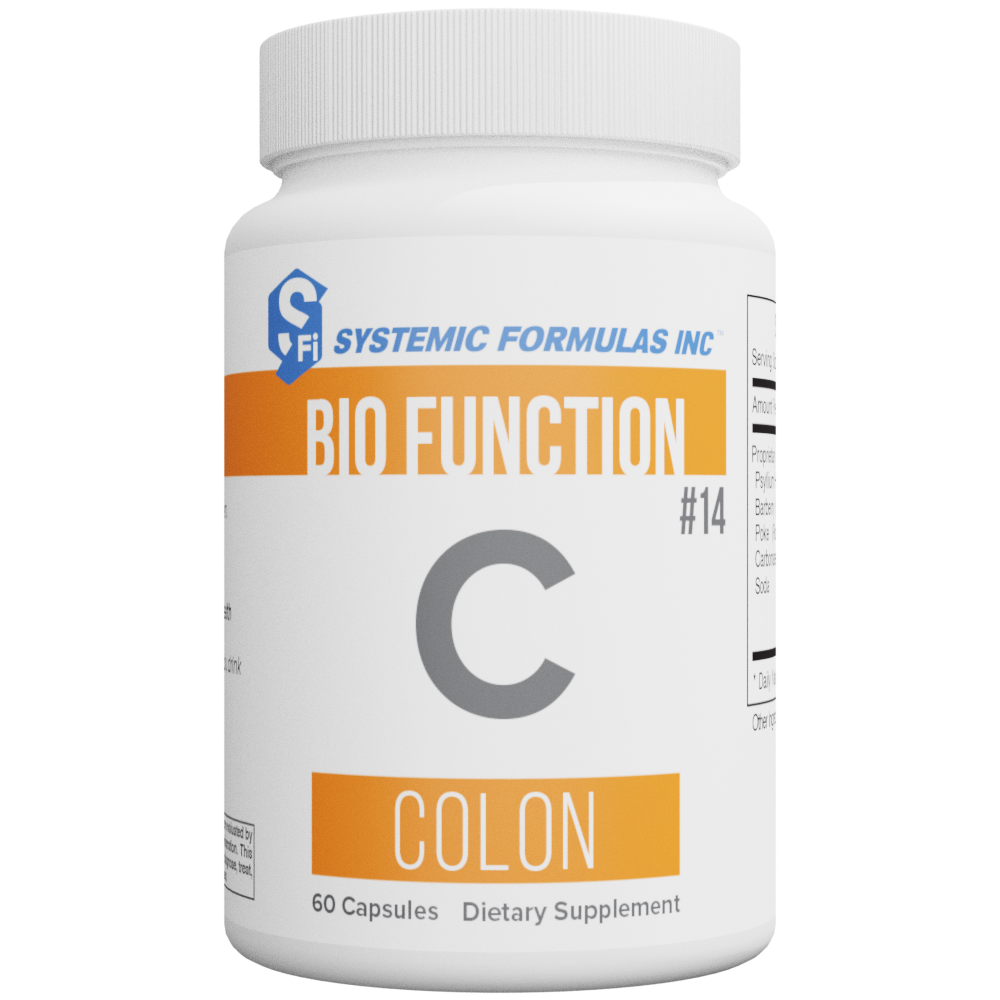 C - Colon