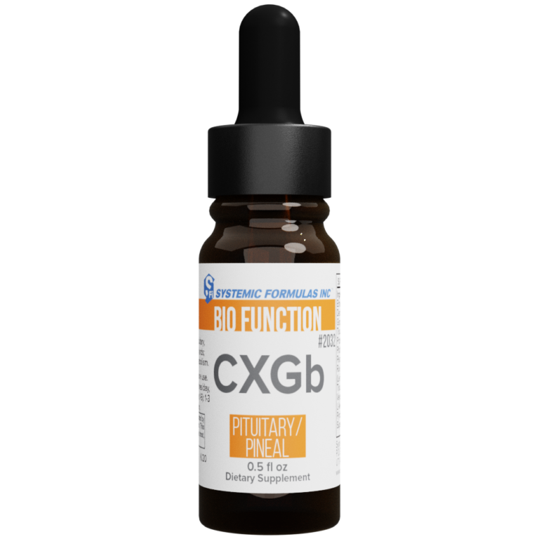 CXGb - Pituitary/Pineal