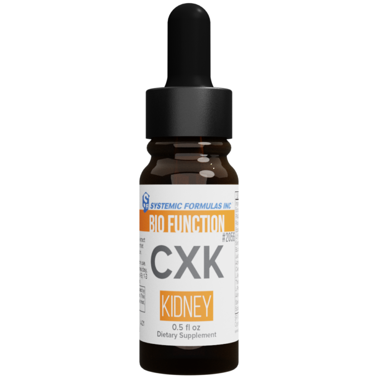 CXK - Kidney