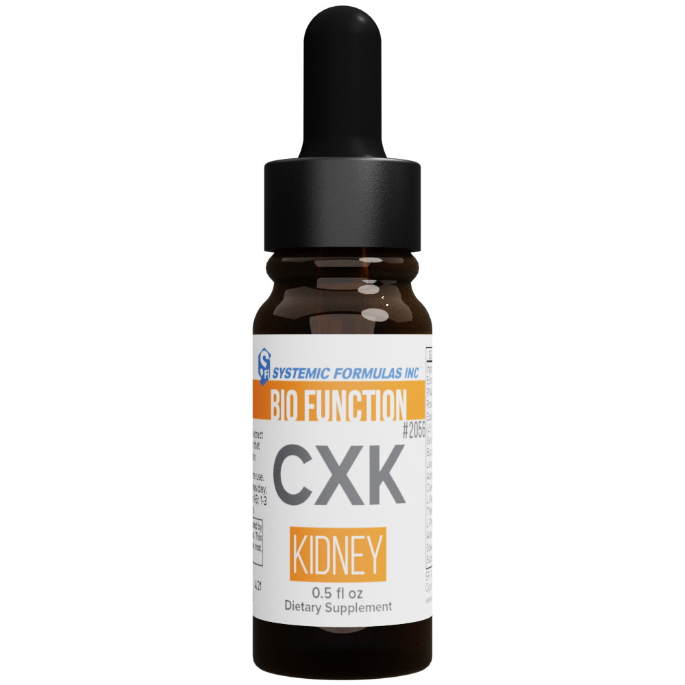 CXK - Kidney