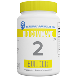 2 - Builder