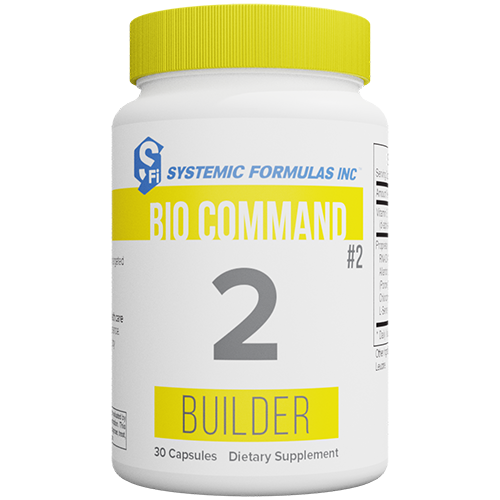 2 - Builder