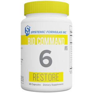 6 - Restore