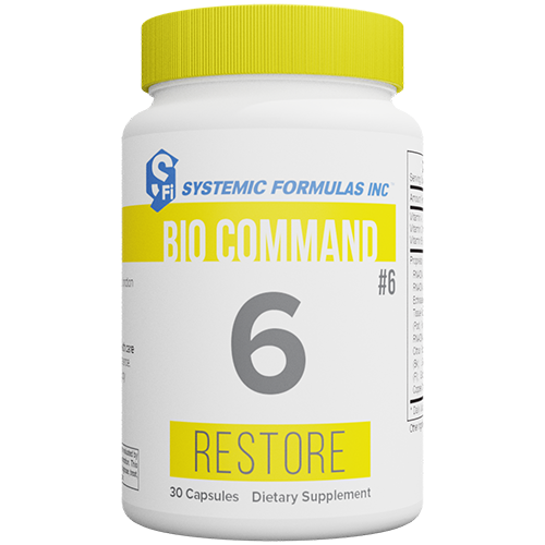 6 - Restore