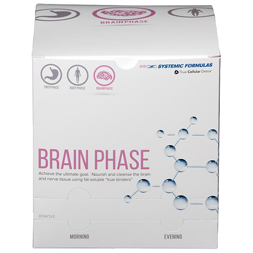 BRAIN PHASE