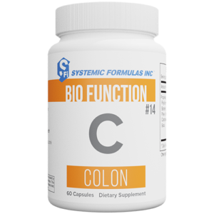 C - Colon