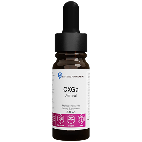 CXGa - Adrenal