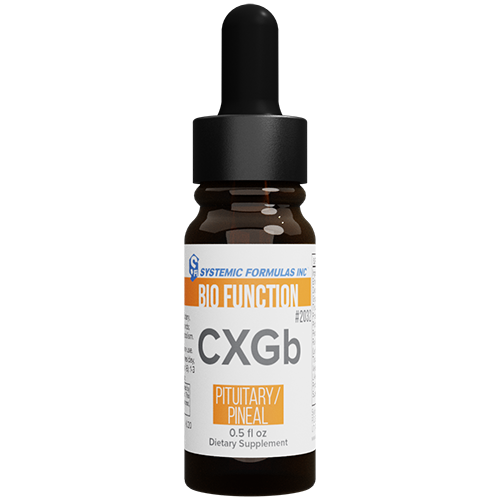 CXGb - Pituitary/Pineal