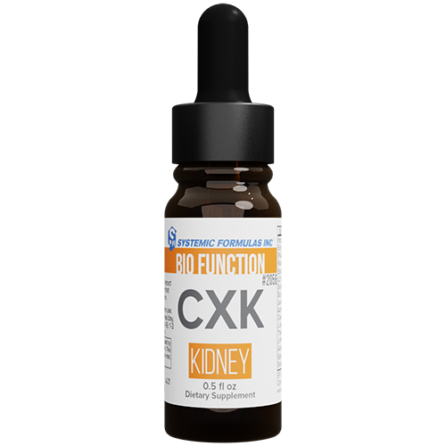 CXK - Kidney