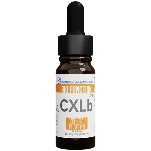 CXLb - Liver/Gallbladder