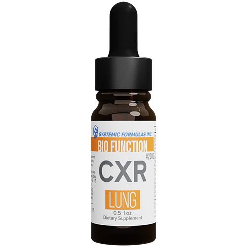 CXR - Lung