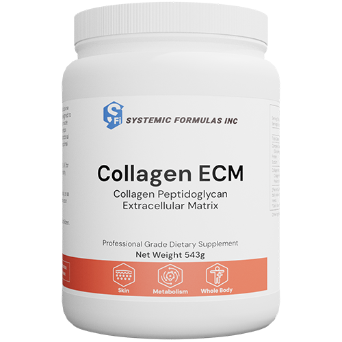 Collagen ECM - Collagen Peptidoglycan Extracellular Matrix
