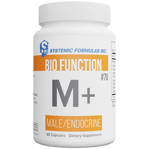 M+ - Male/Endocrine