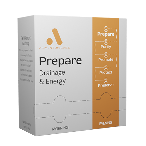 Prepare - Drainage & Energy