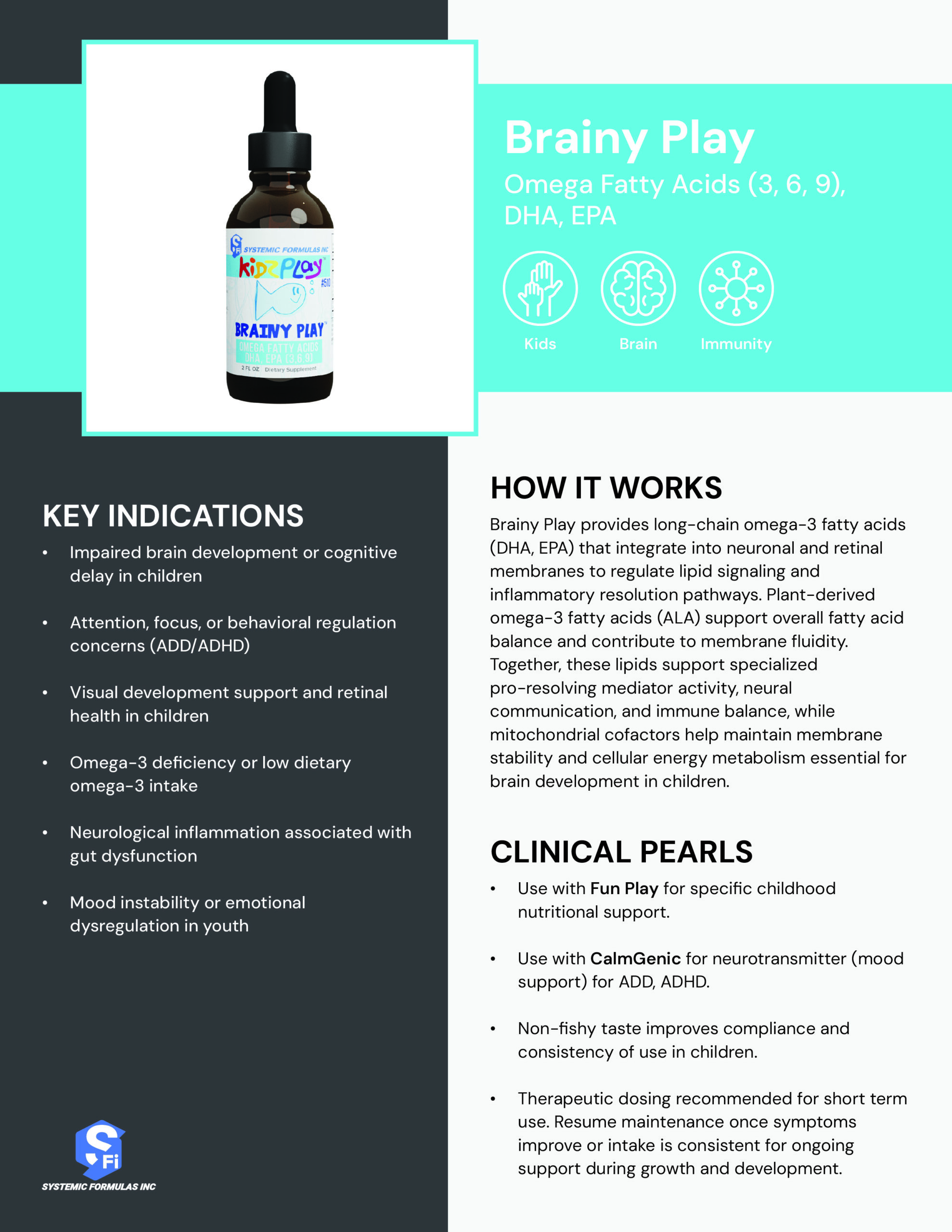 Brainy Play Practitioner Reference Guide