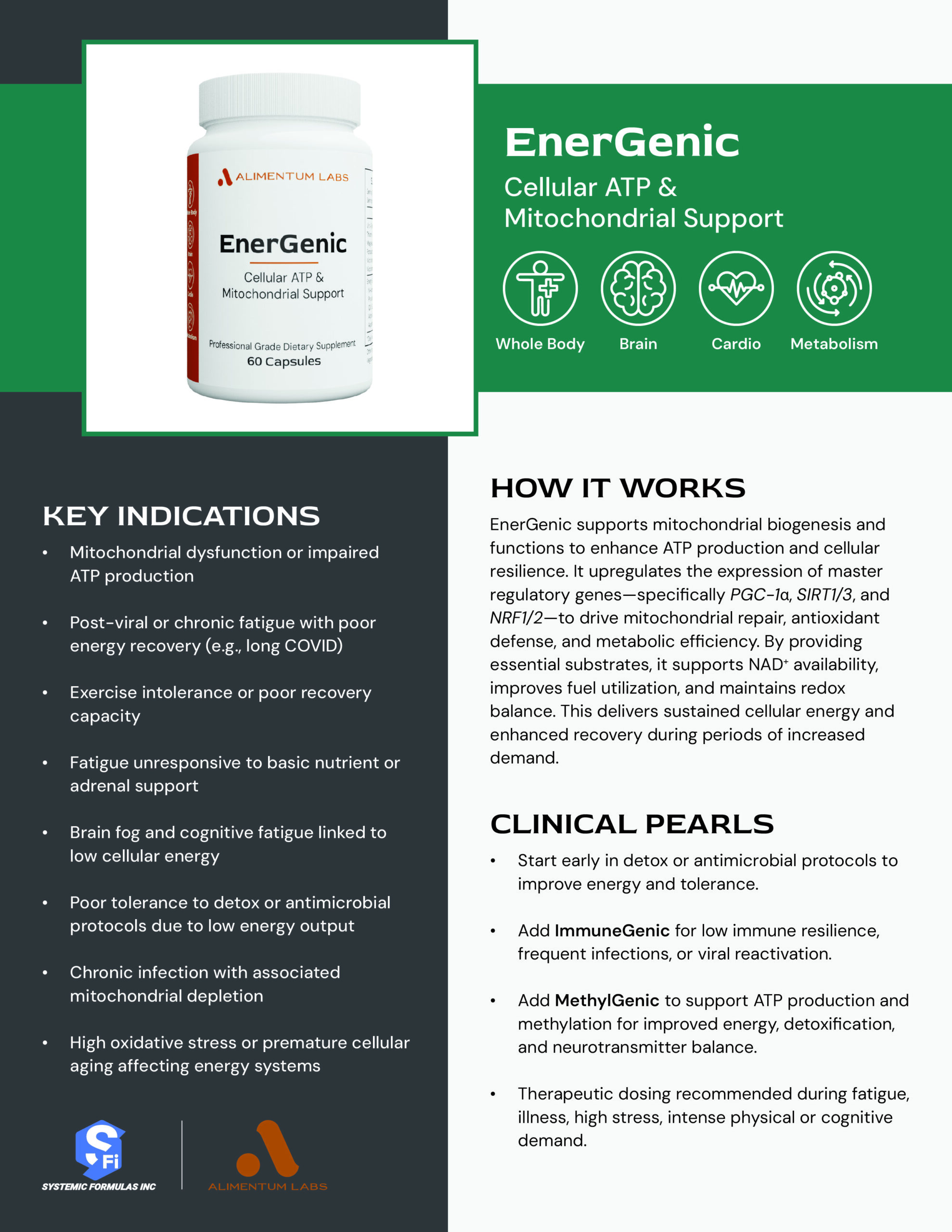 EnerGenic Practitioner Reference Guide